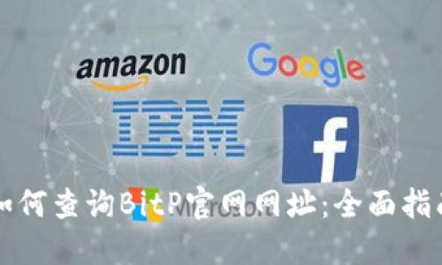 如何查询BitP官网网址：全面指南