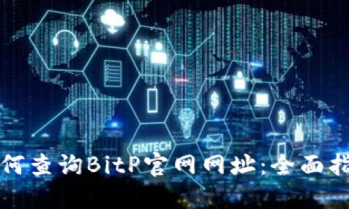 如何查询BitP官网网址：全面指南