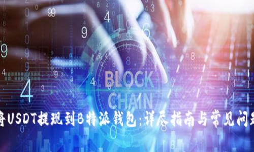 如何将USDT提现到B特派钱包:详尽指南与常见问题解答