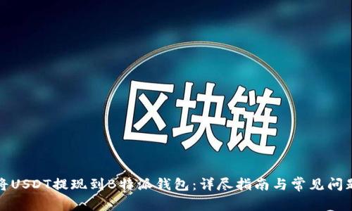 如何将USDT提现到B特派钱包:详尽指南与常见问题解答