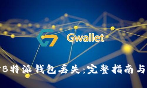 如何应对B特派钱包丢失：完整指南与解决方案