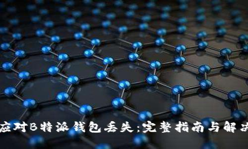 如何应对B特派钱包丢失：完整指南与解决方案