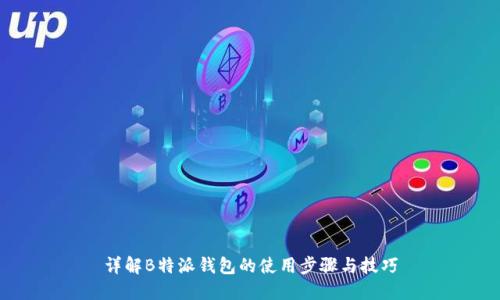 详解B特派钱包的使用步骤与技巧