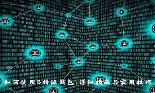 如何使用B特派钱包:详细指南与实用技巧