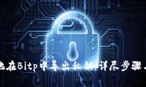 如何安全地在Bitp中导出私钥:详尽步骤与注意事项