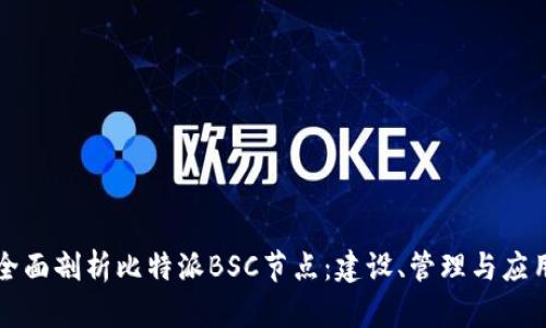 全面剖析比特派BSC节点:建设、管理与应用