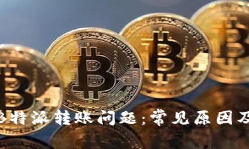 如何解决B特派转账问题：常见原因及解决方案