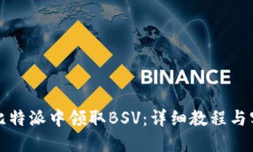 如何在比特派中领取BSV：详细教程与实用技巧