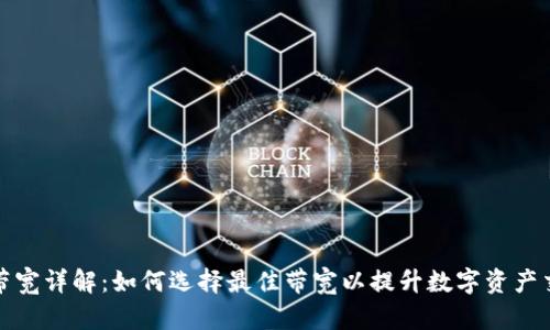 比特派带宽详解：如何选择最佳带宽以提升数字资产交易体验