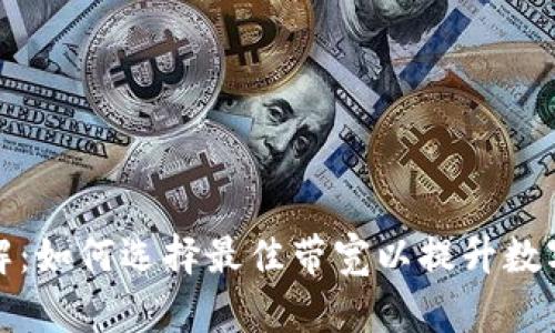 比特派带宽详解：如何选择最佳带宽以提升数字资产交易体验