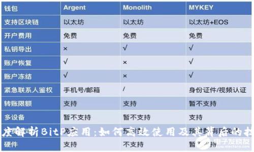 深度解析BitP应用:如何高效使用及其背后的技术