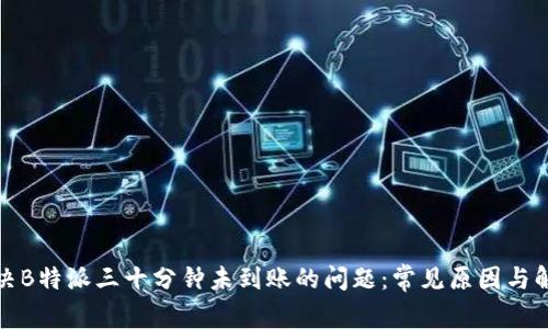如何解决B特派三十分钟未到账的问题:常见原因与解决方案