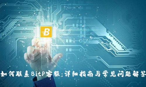 如何联系BitP客服:详细指南与常见问题解答