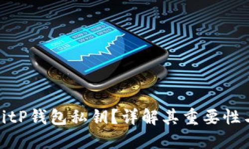 什么是BitP钱包私钥？详解其重要性与安全性