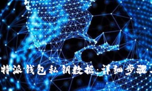 如何导入b特派钱包私钥数据:详细步骤与注意事项