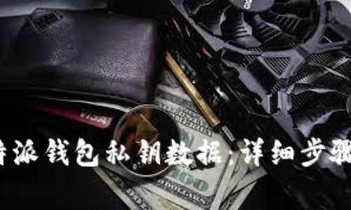 如何导入b特派钱包私钥数据:详细步骤与注意事项