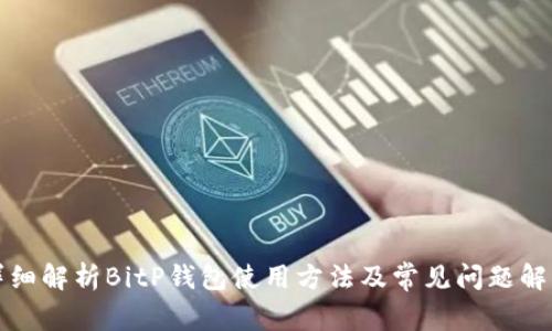 详细解析BitP钱包使用方法及常见问题解答