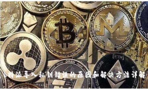 b特派导入私钥错误的原因和解决方法详解