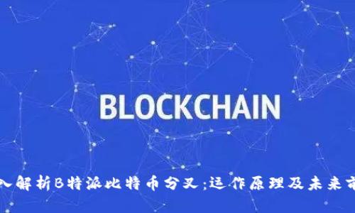 深入解析B特派比特币分叉:运作原理及未来前景