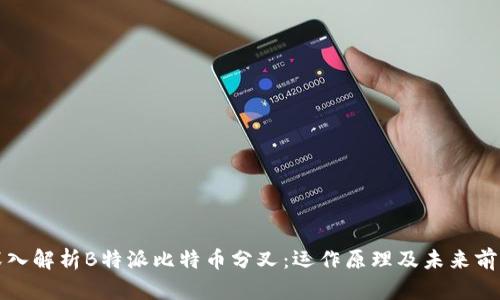 深入解析B特派比特币分叉:运作原理及未来前景