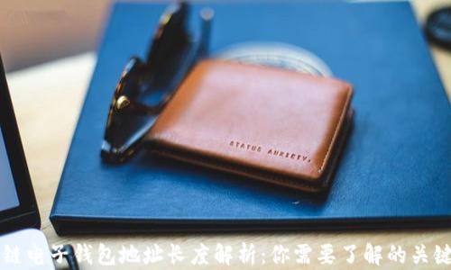 区块链电子钱包地址长度解析:你需要了解的关键知识