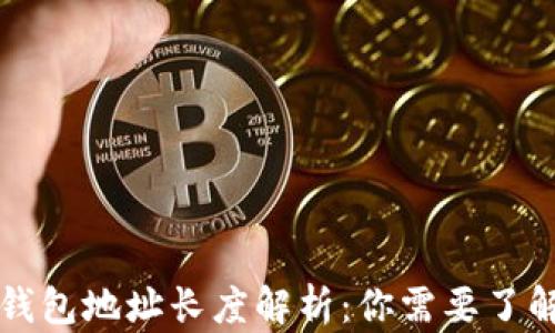 区块链电子钱包地址长度解析:你需要了解的关键知识