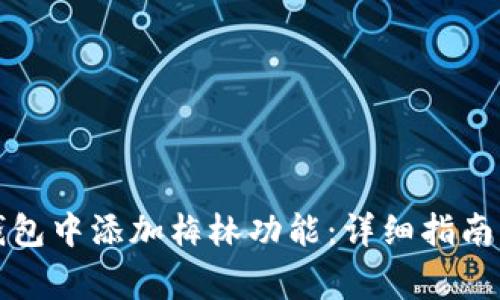 如何在小狐狸钱包中添加梅林功能：详细指南与常见问题解答