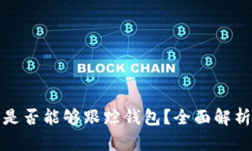 虚拟币平台是否能够跟踪钱包？全面解析与安全措施
