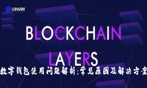 数字钱包使用问题解析：常见原因及解决方案