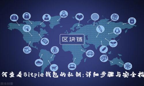 如何查看Bitpie钱包的私钥:详细步骤与安全指南