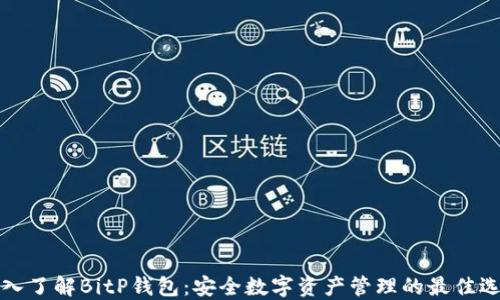 
深入了解BitP钱包：安全数字资产管理的最佳选择