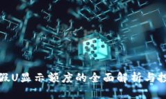比特派假U显示额度的全面