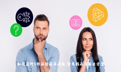 如何应对B特派转丢币问题:实用指南与解决方案