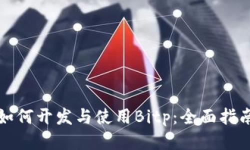 如何开发与使用Bitp：全面指南