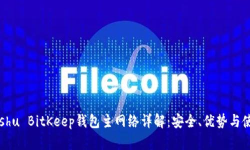 lutaoshu BitKeep钱包主网络详解：安全、优势与使用方法