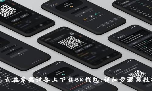怎么在苹果设备上下载BK钱包：详细步骤与技巧