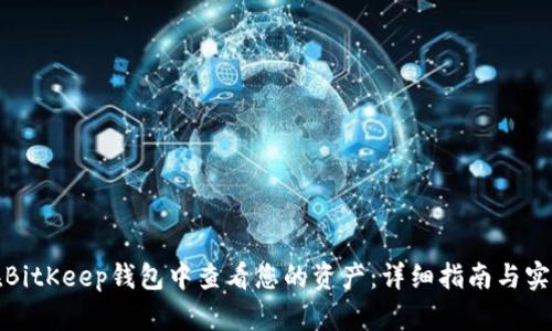 如何在BitKeep钱包中查看您的资产：详细指南与实用技巧